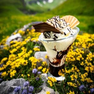 Glace2 1