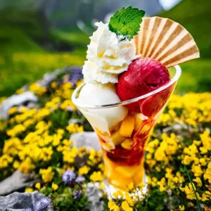 Glace4 1 1