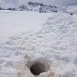 Murmeli Bau im Vordergrund, hinten der mächtige Wildstrubel (Berg)