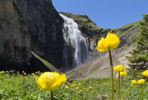 wasserfall 1 e1655039894277